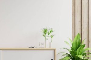 asset-1-2-1000x930-1-300x200 (1)